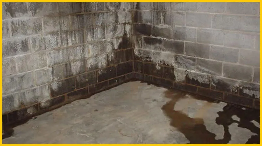 Basement Plugin Waterproofing